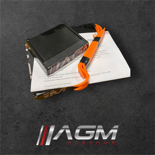 AGM IMMOBILISER