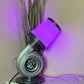 Turbo Lamp